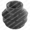 DELPHI TD257W Control Arm-/Trailing Arm Bush